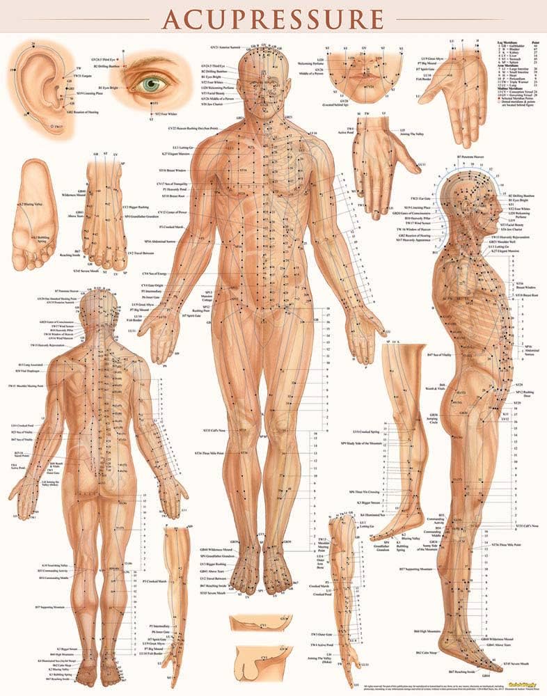 acupressure-poster-22-x-28-inches-laminated-anatomy-of-points-for-acupressure-acupunture-vincent-perez-9781423222651-amazon-com-books for Free Printable Acupressure Points Chart Acupressure Poster (22 x 28 inches) - Laminated: Anatomy of Points for Acupressure & Acupunture: Vincent Perez: 9781423222651: Amazon.com: Books for Free Printable Acupressure Points Chart