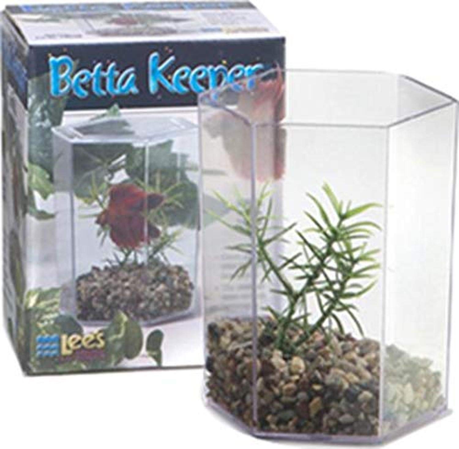 Lee's Betta Keeper with Lid, Gravel and Plant - Small
