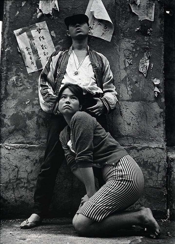 Cochons et cuirassés - Coffret 2 DVD