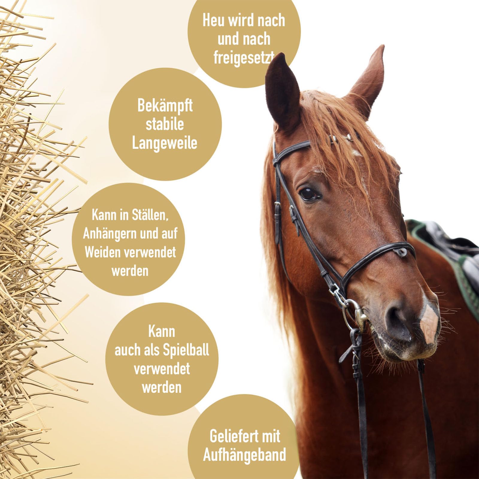 Holland Animal Care Hay Slowfeeder Fun&Flex Wurzel Ø 22 cm - Heunetz für Pferde - Heuraufe Pferd - Geeignet für Weidetiere - Gegen Stallverfall - Bis zu 1 kg Heu - Orange
