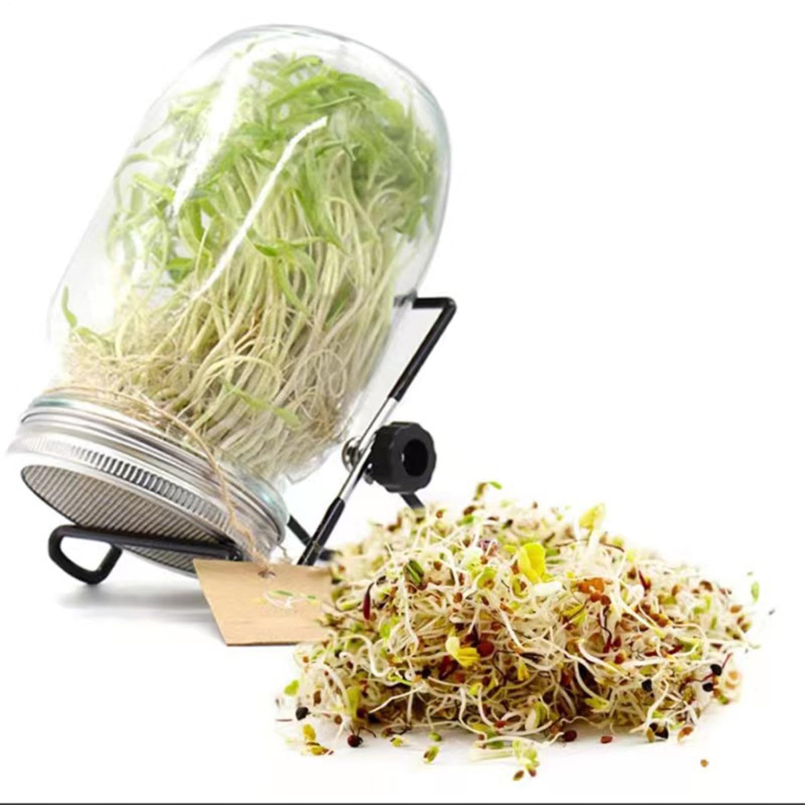 Kit per germogliare broccoli e verdure salutari | Barattolo in vetro per la coltivazione di casa, cucina, dispensa, davanzale dell'ufficio, balcone | Perfetto per gli appassionati di salute e