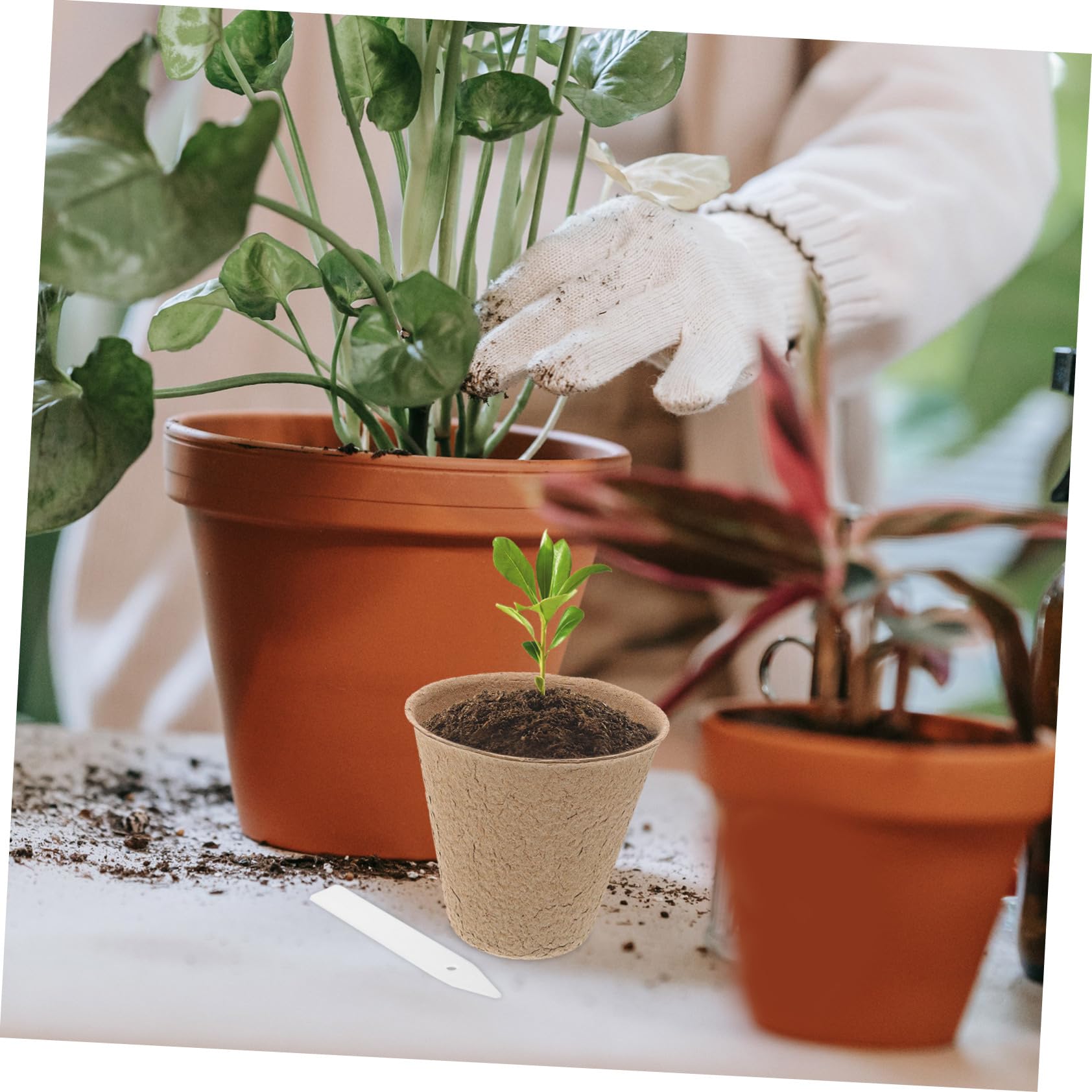 Toyvian Kit de 110 Pots de Tourbe pour Semis de Plantes, Jardinage Intérieur et Extérieur, Pots de Pépinière Compostables 10 Étiquettes, Taille Standard, Écologique,
