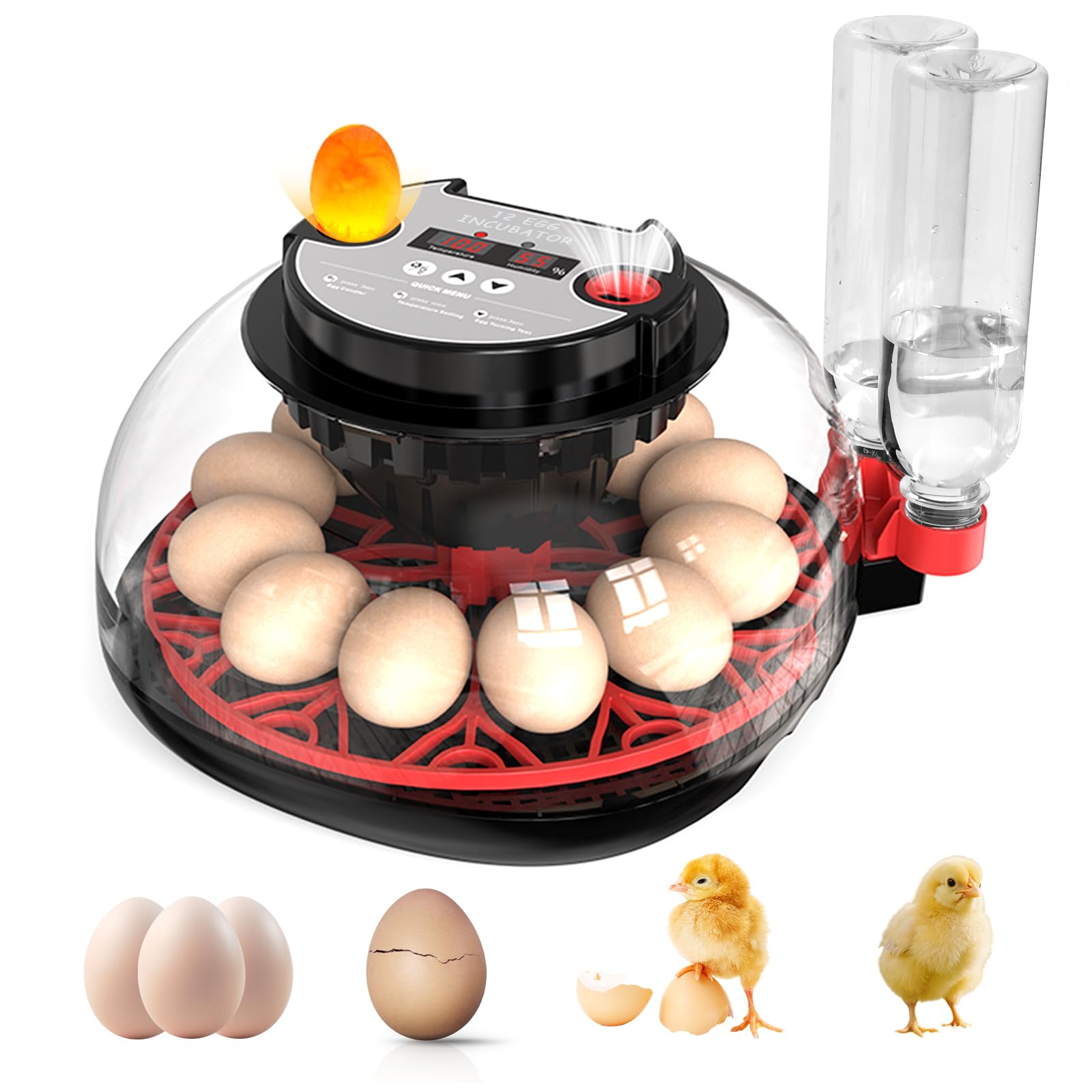 Couveuse Oeuf Automatique, Incubateur Automatique 12 Oeufs, avec Système de Retournement Automatique et Contrôle de la Température,Affichage de l'humidité, pour Éclosion d'Œufs de Poule Canard Caille