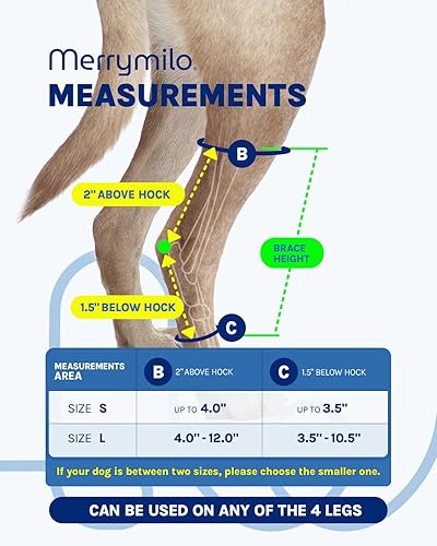 Miniatura 4 de MerryMilo Soporte de pierna de perro para talón trasero y tobillo, envoltura de compresión de articulación de pierna trasera canina para ACL y CCL,