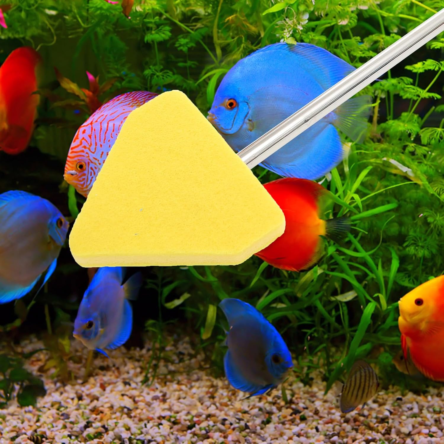 Fish Tank Cleaning Supplies Triangle Sponge Brush Non-Slip for Glasses Tanks and Aquariums Random Color