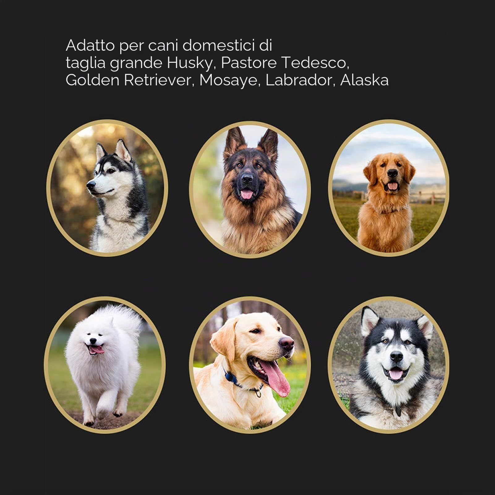 Pulisci Zampe Cani Automatico Multifunzione Tazza Lava Piedi Silicone Ricaricabile Portatile (Bianco e Nero)