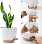 3 Pack Pots de plantes Intérieur 10/9/8 pouce Planters d'auto-arrosage pour les plantes Intérieures Pots à fleurs pour les végétaux Intérieurs avec trous de drainage et Saucer pour jardin intérieur extérieur (blanc)