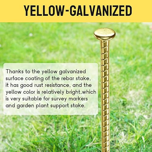Miniatura 3 de 16 Inch Rebar Stakes - 1/2 Inch Diameter Galvanized Steel Ground Anchors - Heavy Duty Plant Support Garden Stake for Speed Bump, Wheel Stop, Tent