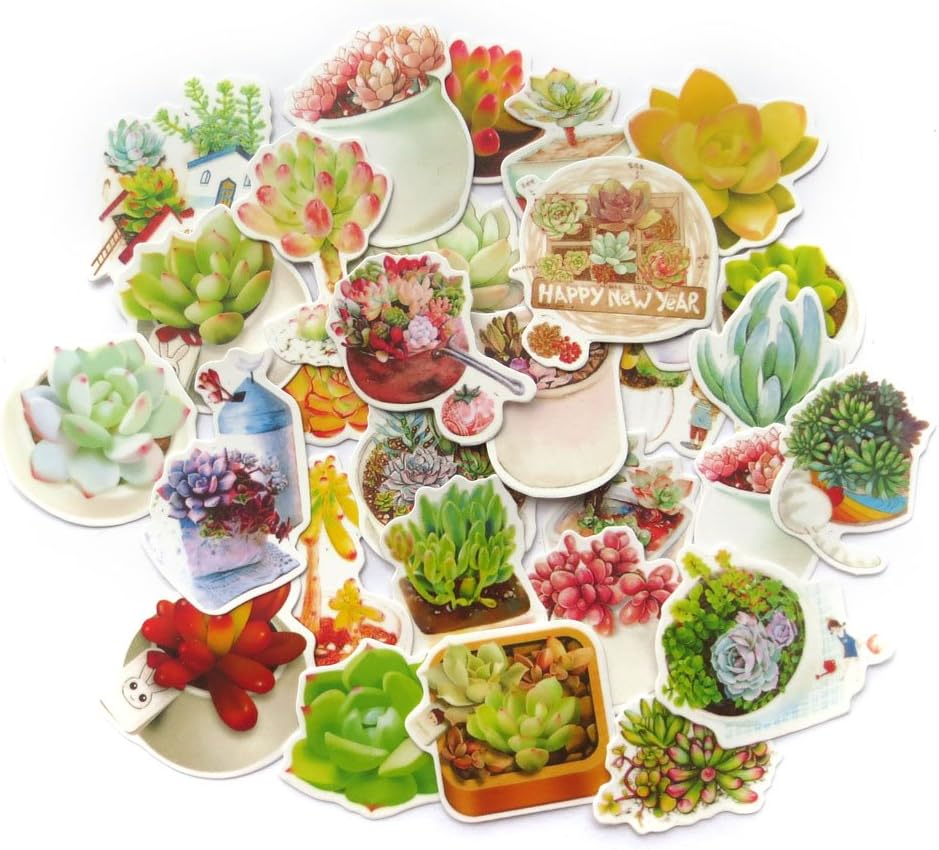 DadaCrafts(TM) Succulents 29pcs 3cm - 4cm Large Bag Packaged Stickers Sets