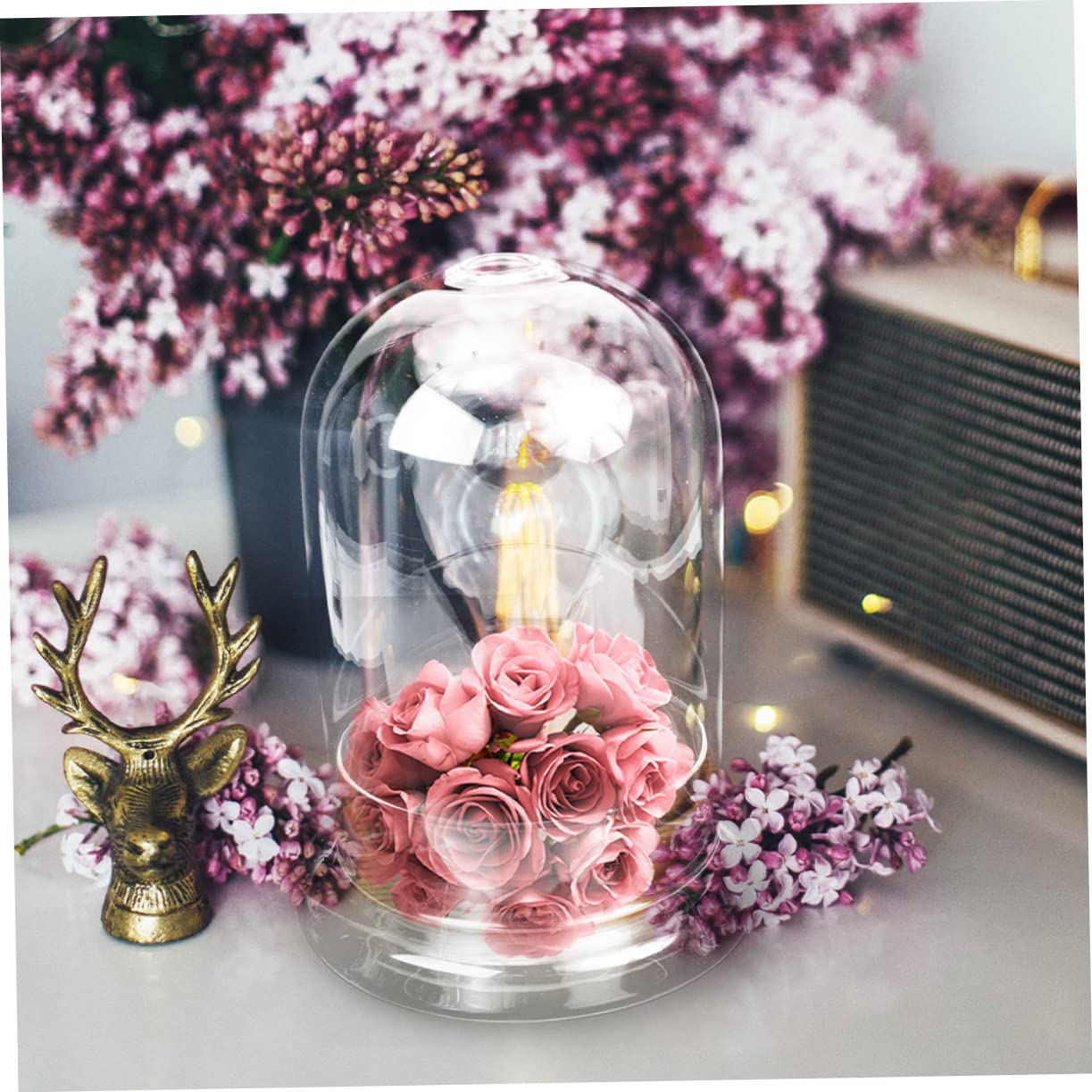 BESTonZON Vaso Terrario Bottiglia in Vetro Ecologica Per Micro Paesaggi Coltivazione Di Piante Di Muschio Contenitore Decorativo Per Paesaggi Fai Da Te