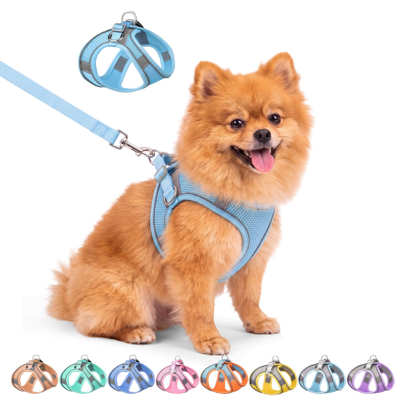 Arnes Perro Pequeño con Correa de 1.5M con Tiras Reflectantes, Diseño de Chaleco de Malla Suave, Ligera y Transpirable, para Perros pequeños y Gatos domésticos(XXS, Azul)