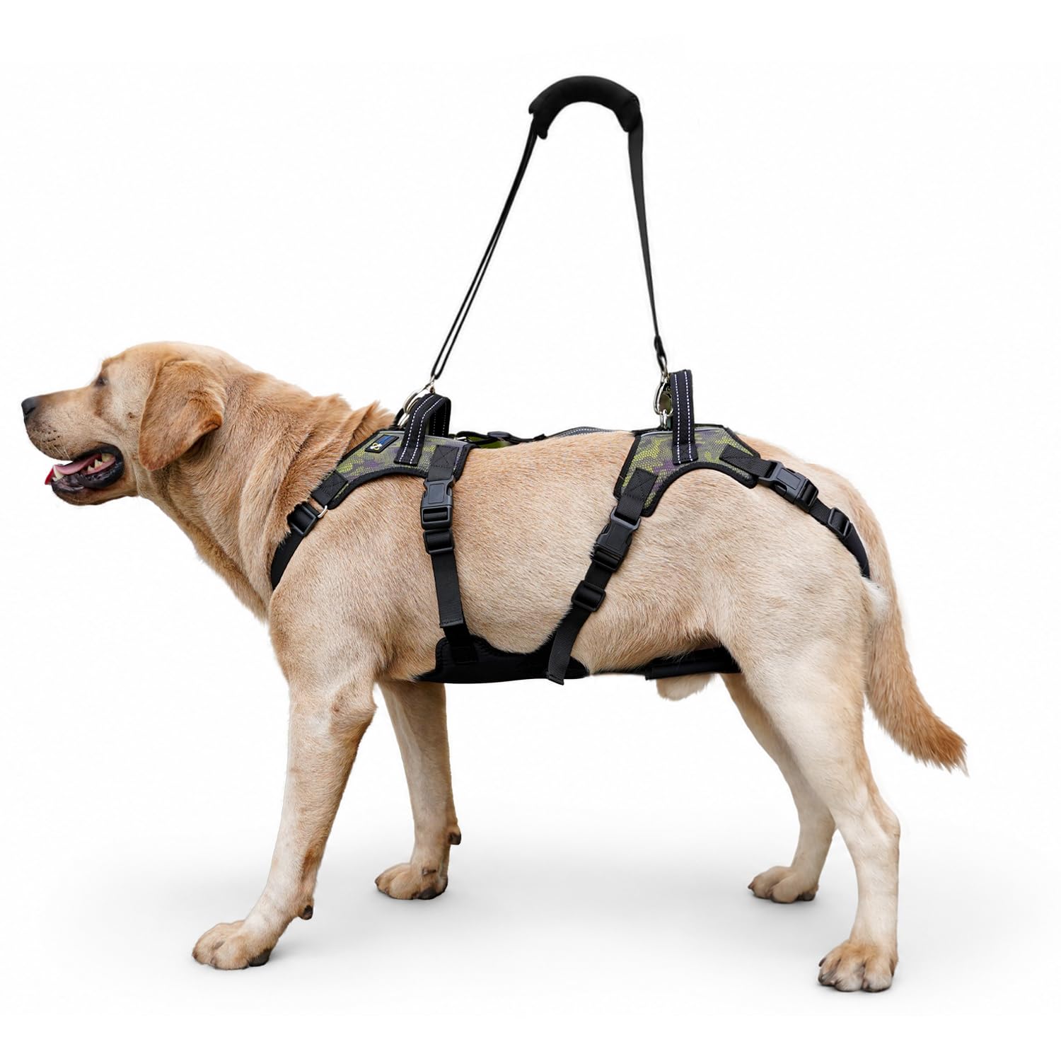 COODEO Imbracatura per sollevamento cani anziani, supporto completo con tracolla regolabile, aiuto per cani con zampe posteriori deboli, artrite, displasia dell'anca e recupero post operatorio (2XL)