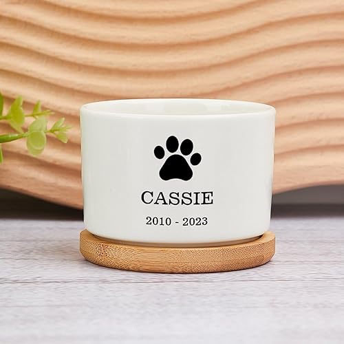 Maceta conmemorativa personalizada para mascotas para suculentas, cactus, regalo personalizado para pérdida de mascotas, regalo de condolencias para