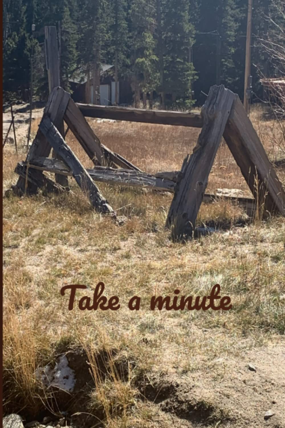 Journal: Take a minute enjoy yourself, with beautiful wood log structure and pond with pretty blue-sky front and back cover:: great gift for nature ... cover with 120 pages, 6x9 journal book