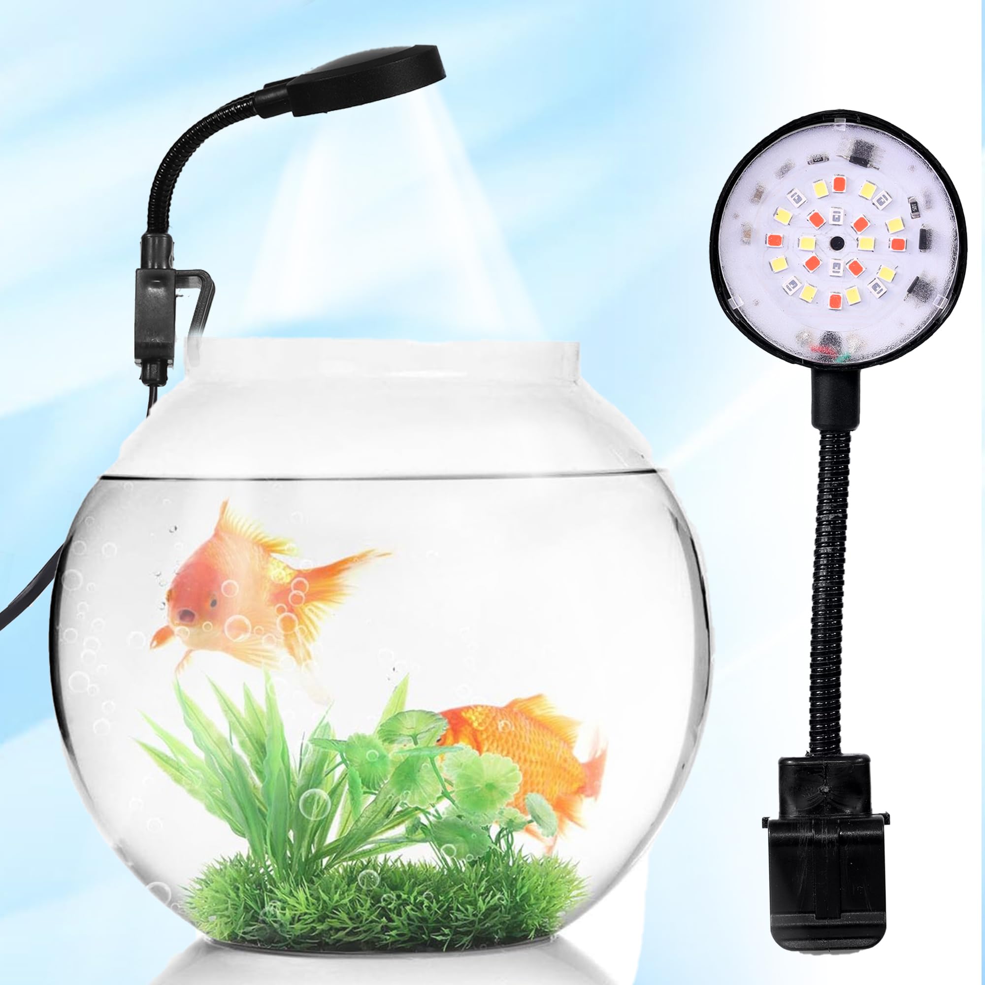 Tankmate TM5 Aquarium Lights - 5W, WRB, 6500 Kelvin, 150 Lux, 3-Way Switching, 360 Degree Flexible, Clip on Back, Fish Tank Light Upto 1 Feet & Fish Bowl Light | Made in India (B0D7S2YVYR) Amazon Price History, Amazon Price Tracker