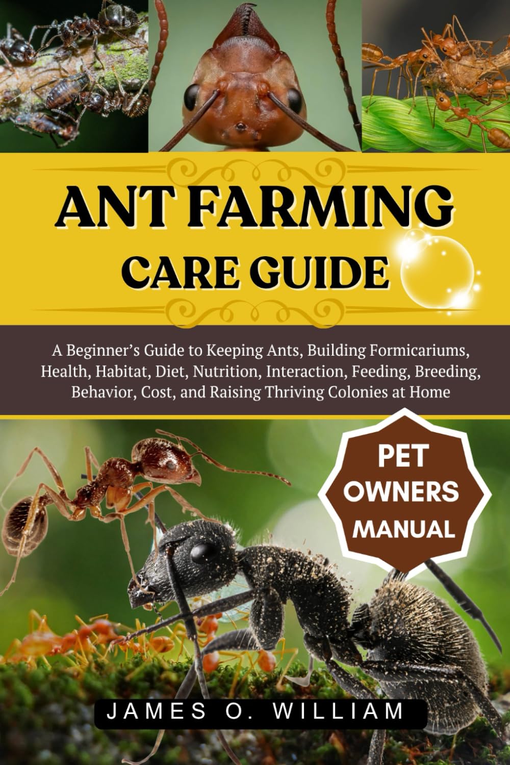 ANT FARMING CARE GUIDE: A Beginner’s Guide to Keeping Ants, Building Formicariums, Health, Habitat, Diet, Nutrition, Interaction, Feeding, Breeding, ... Cost, and Raising Thriving Colonies at Home