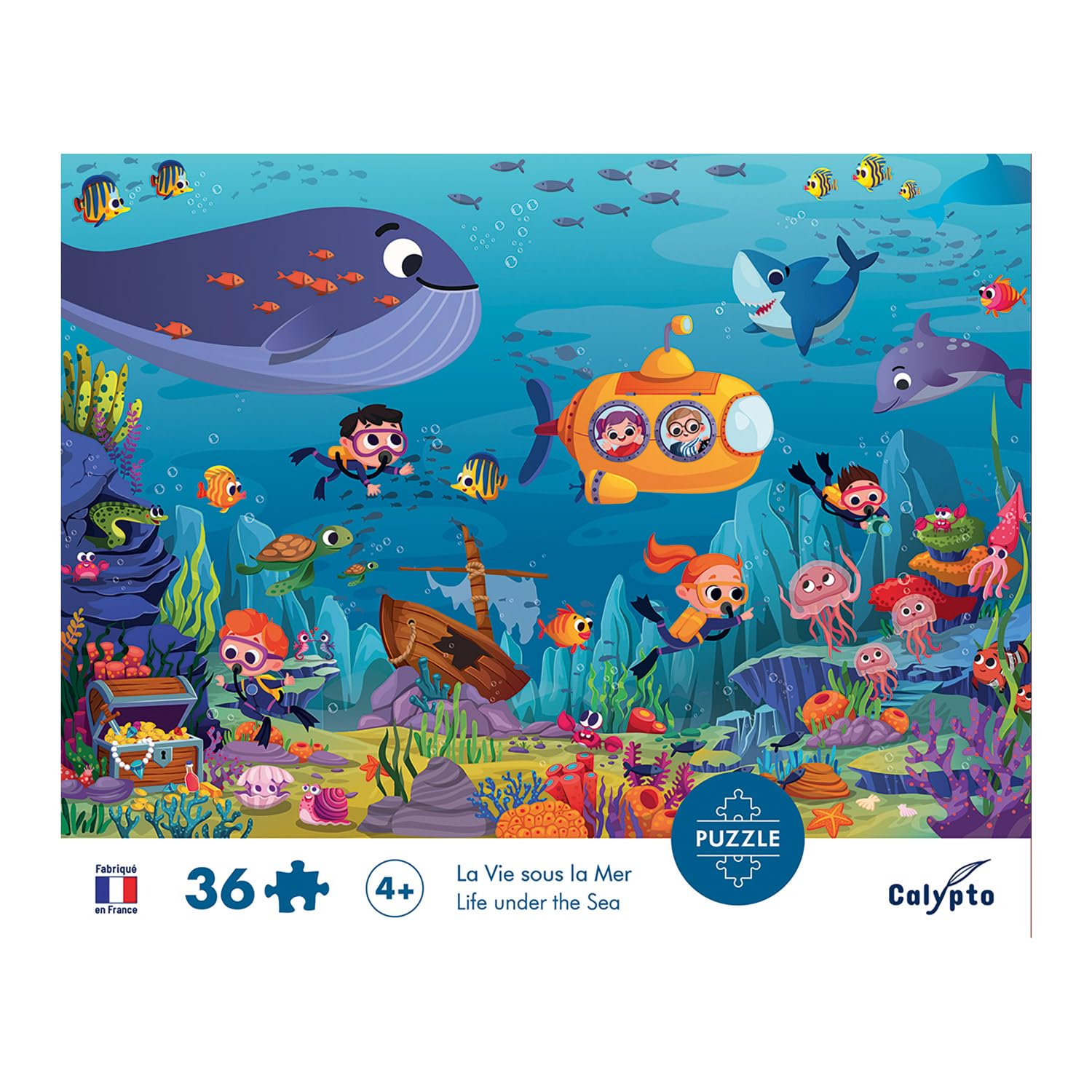 Sentosphere XSE-7602 Calypto Underwater Life 36 Piece Puzzle - Image 4
