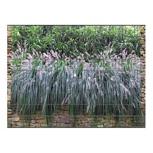 PerfectHD Zaunsichtschutz - Motiv Graswand - Sichtschutz für den Garten - 2,50 x 1,80 x 0,19 m - 9 Streifen - 30 Varianten