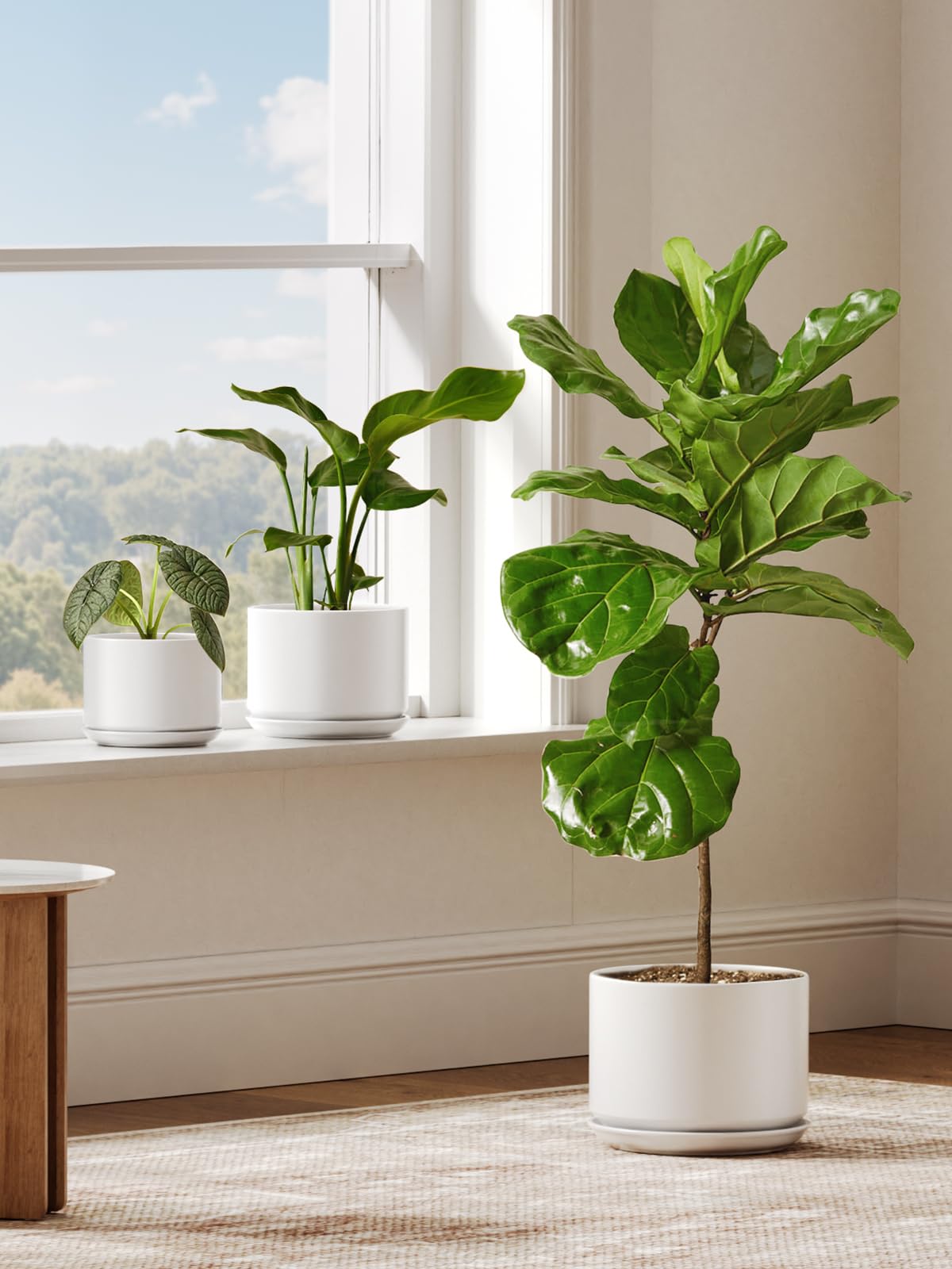 LE TAUCI Keramik Blumentöpfe, 20 cm Übertopf mit Drainageloch & Integrierter Untersetzer, Moderne Minimalistische Pflanzgefäße für Zimmerpflanzen, Weiß