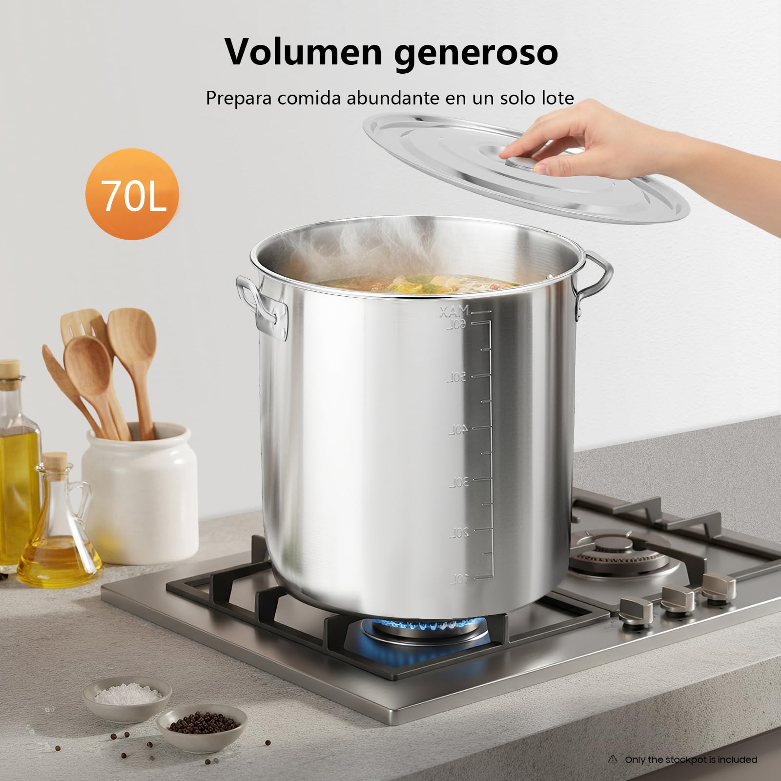 Olla grande de acero inoxidable de 70 L, con asas, diámetro de 45 cm, altura: 45 cm, tapa de fregadero, superficie pulida, olla grande de acero inoxidable para cocinas de gas, cocinas