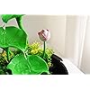 Product Photo 6