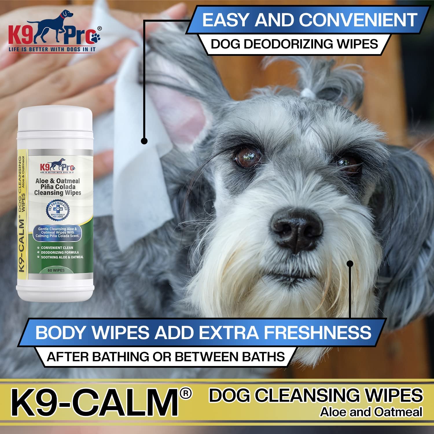 How Can I Keep My Dog Clean Between Baths
