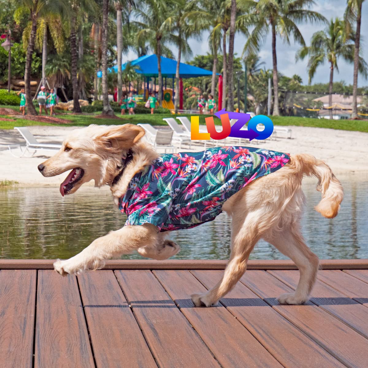 Playera Hawaiana Hombre Ranphy Camisa Hawaiana De Malla