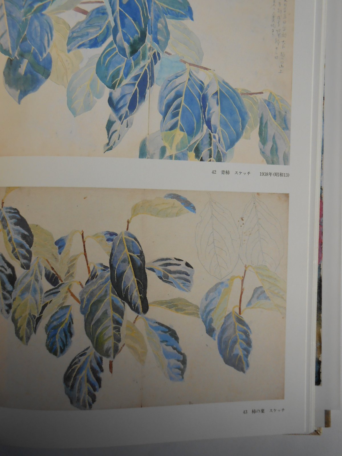 Amazon.co.jp: 福田 平八郎: 本、バイオグラフィー、最新アップデート