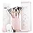 Nir Beauty 15piece Award Winning Pink Makeup Brushes: Pink Makeup Brush Set with Case, Makeup Sponge, Brush Cleaner, Guide, Gift Box