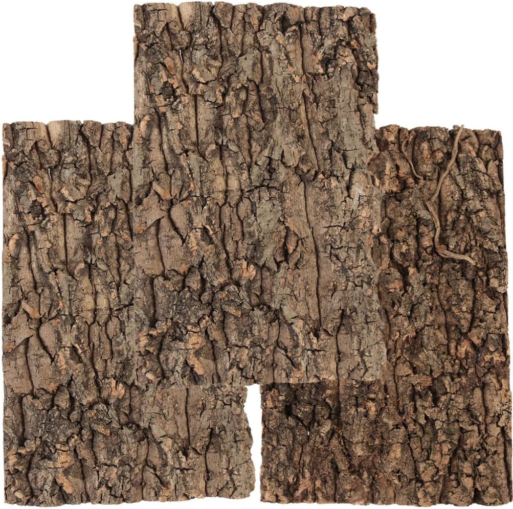 Totority Cork Bark 3Pcs Plants Decor Cork Terrarium Background Decorative Tree Bark Adornment Reptile Climbing Plaything for Gecko Lizard Tortoise Frog Bearded Dragon Tank Access