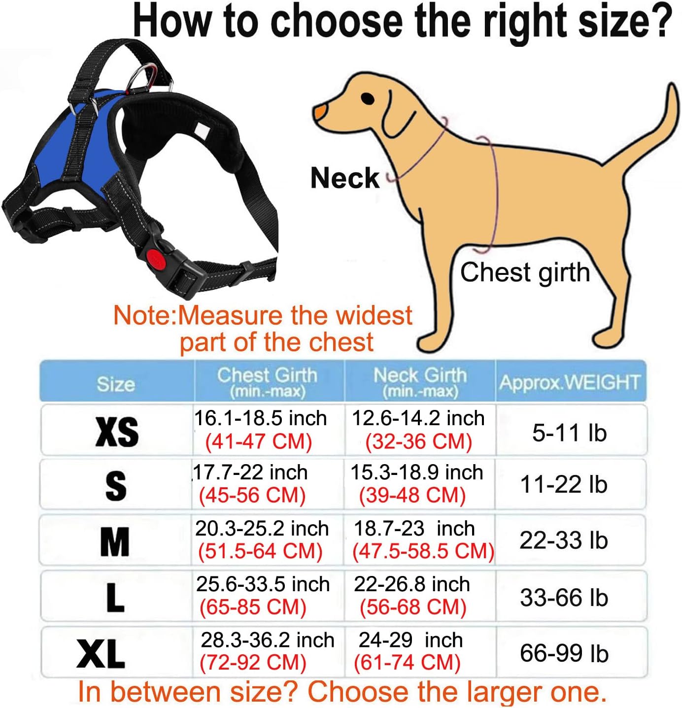 Sakruda No Pull Dog Harness Vest with Handle and 1 PC Dog Lead,Breathable,Comfortable Pet Vest with Adjustable Soft Padded,Best for Small Animals Dog Cat Outdoor training Walking (Blue - Image 3