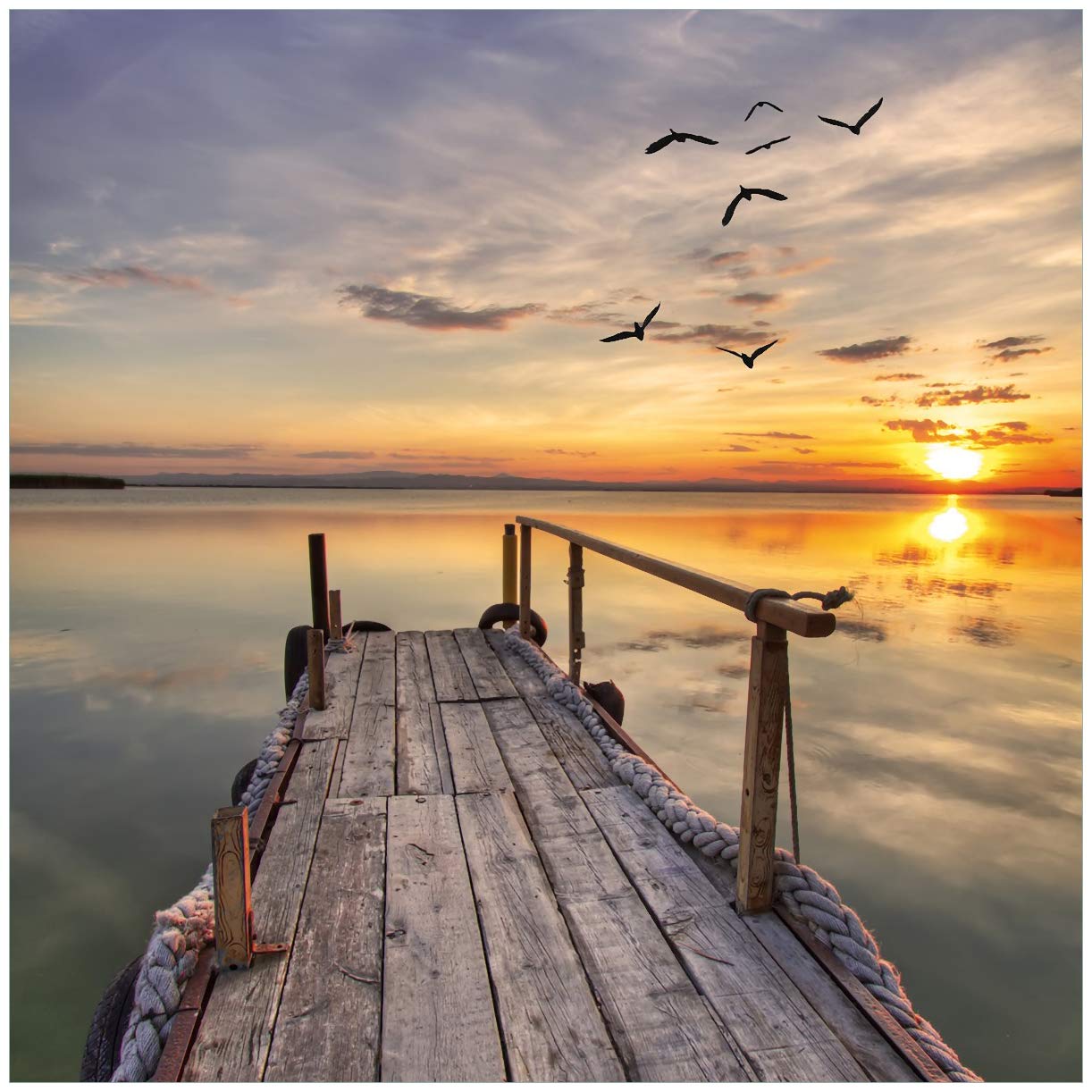 Sticker Lave Vaisselle Nature - Art Déco Stickers