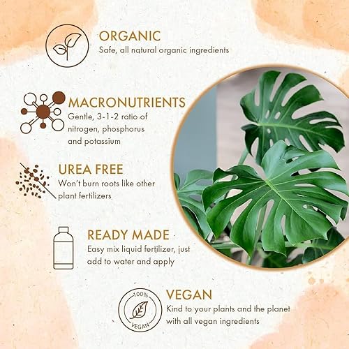 Miniatura 3 de Monstera Plant Food - Fertilizante líquido orgánico para plantas Monstera de interior y exterior, nutrientes para hojas tropicales saludables y