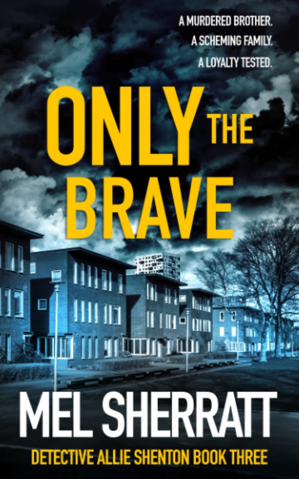 Only the Brave: A gripping crime thriller series (Detective Allie Shenton)