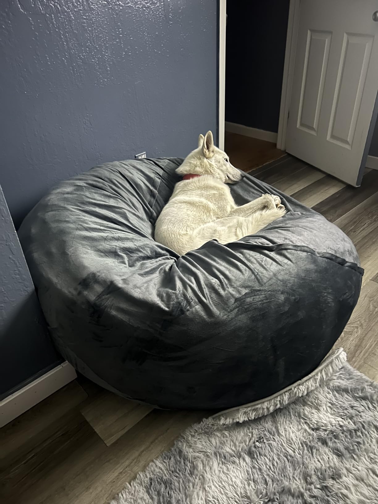Bean Bag Chairs for Adults - Memory Foam Furniture BeanBag Chair - Kids/Teens Sofa with Soft Micro Fiber Cover photo review