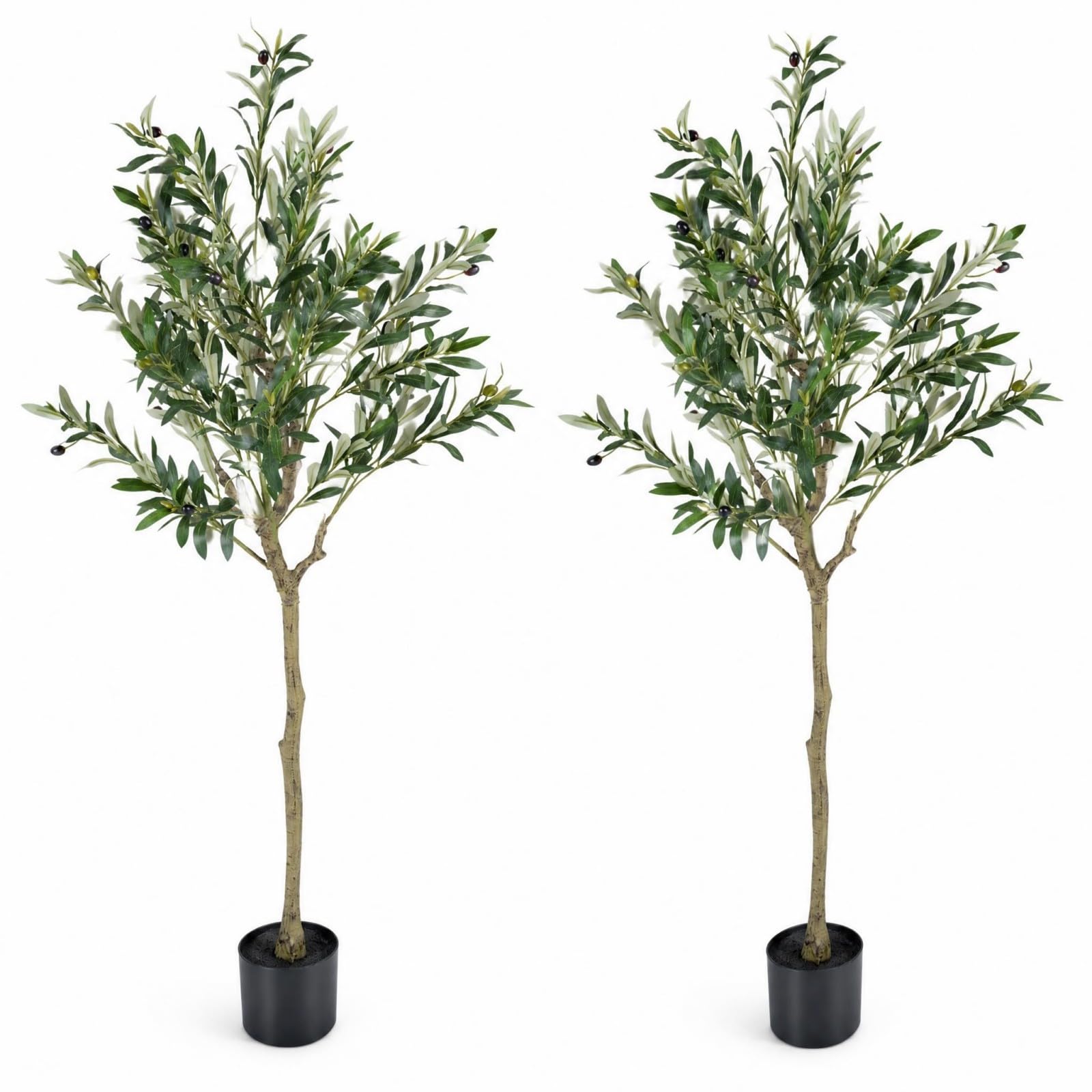 LIFEZEAL Olivier Artificiel en Pot de 150 cm/190 cm, 150 cm,2