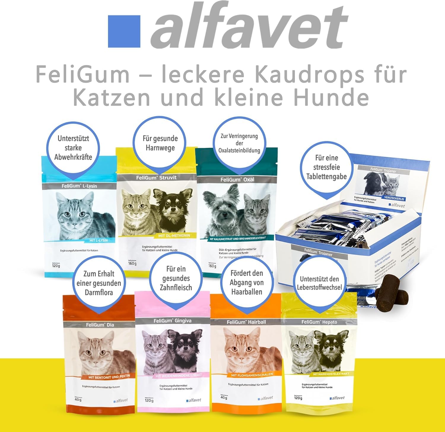 alfavet Feligum Struvit, Doppelpack, Kaudrops zur Auflösung von Struvitsteinen, Katzen und kleine Hunde, 2 x 160g