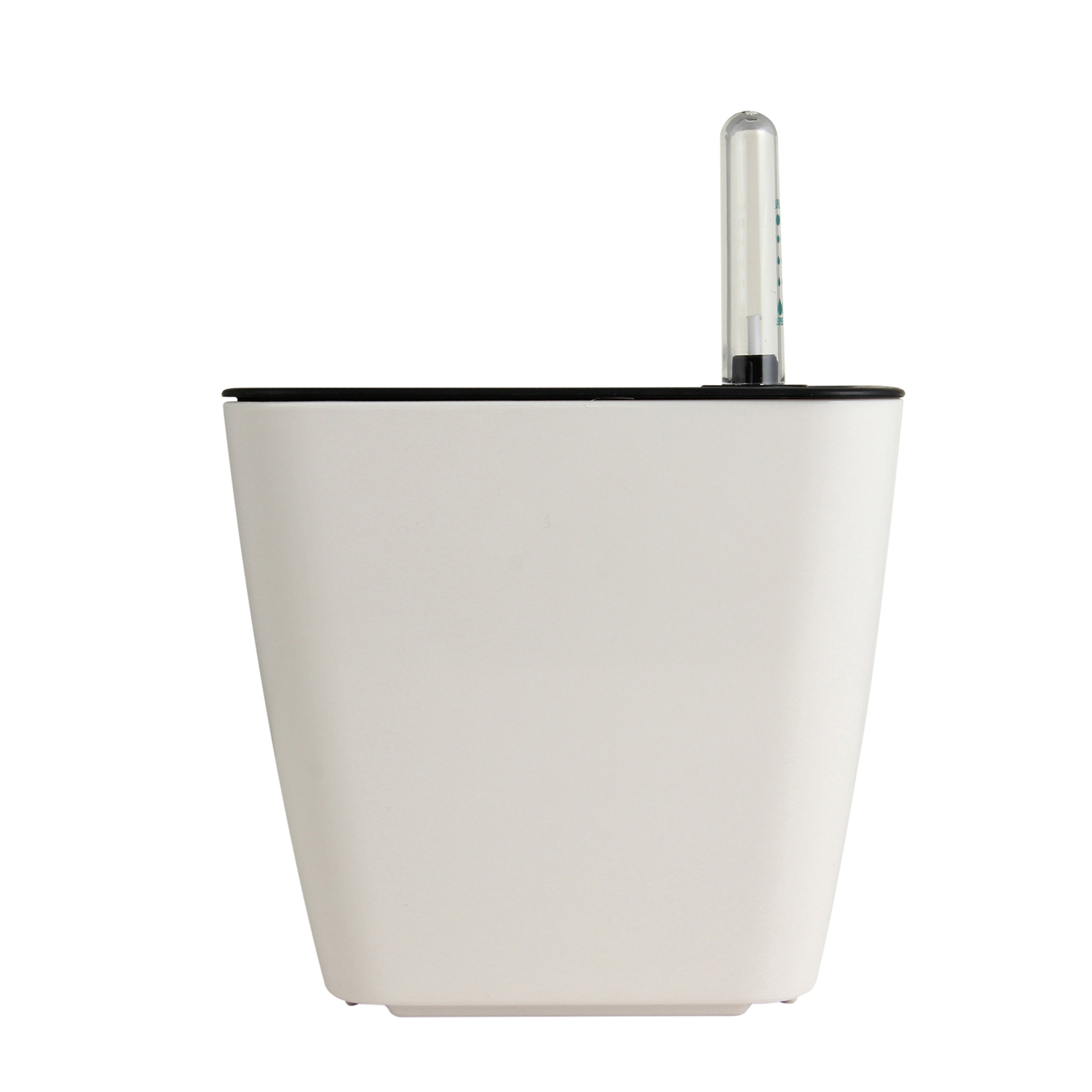 Divine Tree White Flower Pots Self Watering Planter for Indoor Plants with Water Level Indicator (B07BZ6XNBK) Amazon Price History, Amazon Price Tracker