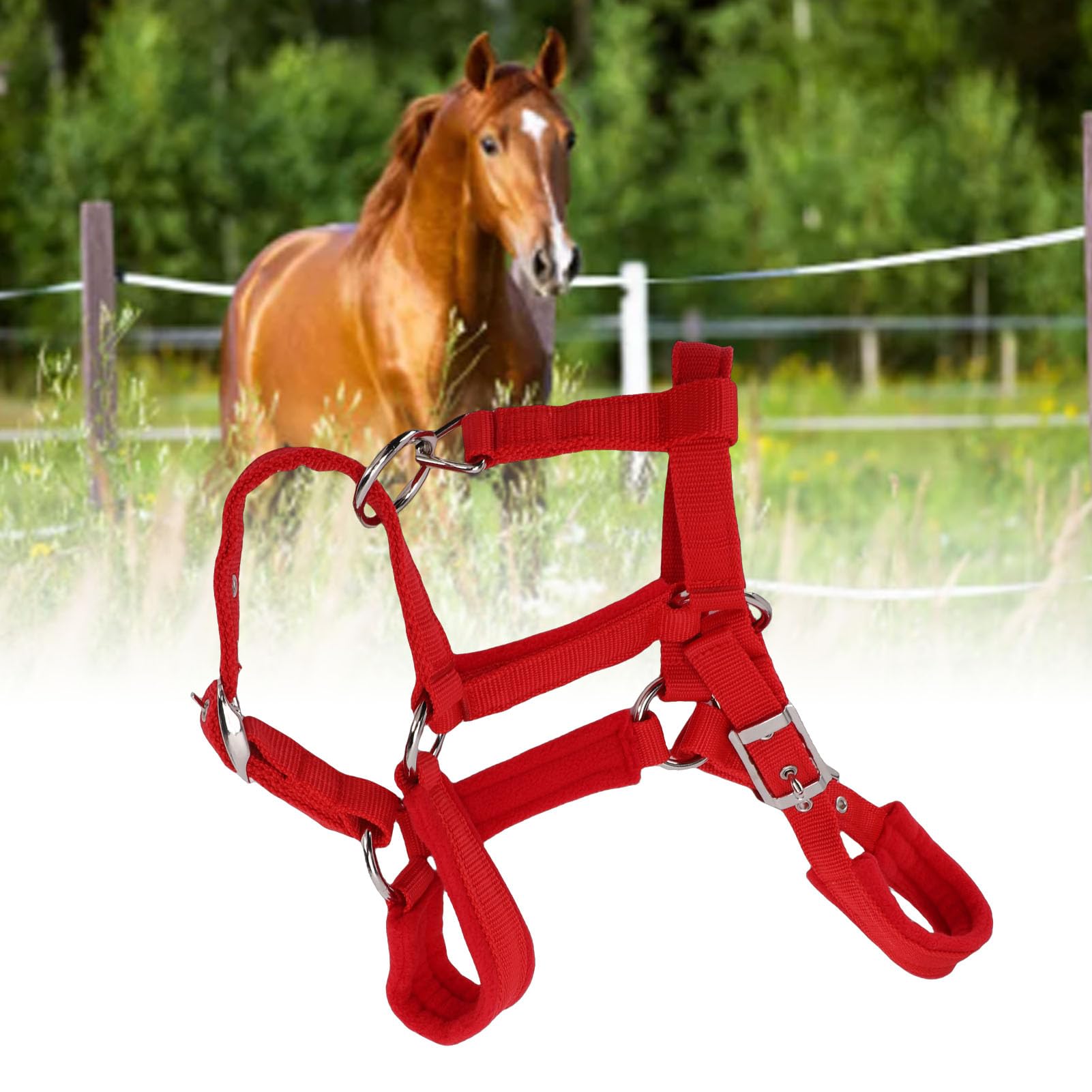 Cavezze per cavallo regolabili in nylon morbido e resistente, rosse, capezzale da equitazione con cinturino in nylon PP largo 25 mm con fibbia in metallo per cavallo medio, per