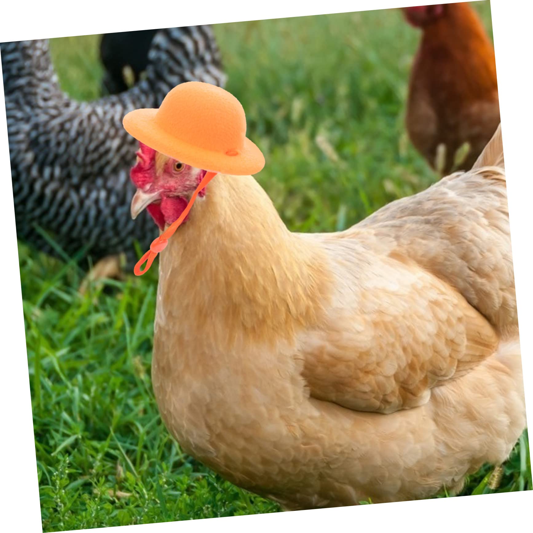 Kueohse 6 Pezzi Cappelli Da Pollo Per Pollo, Vestiti Da Gallina - 5
