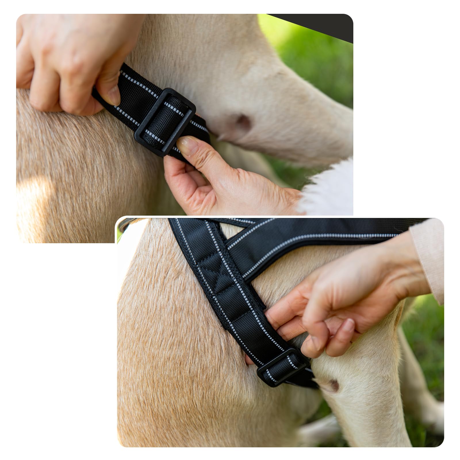No Pull Harnais pour Chien de Petite Taille Moyenne réfléchissant Anti-éclatement réglable sans Traction Harnais pour Chien (Noir, L)