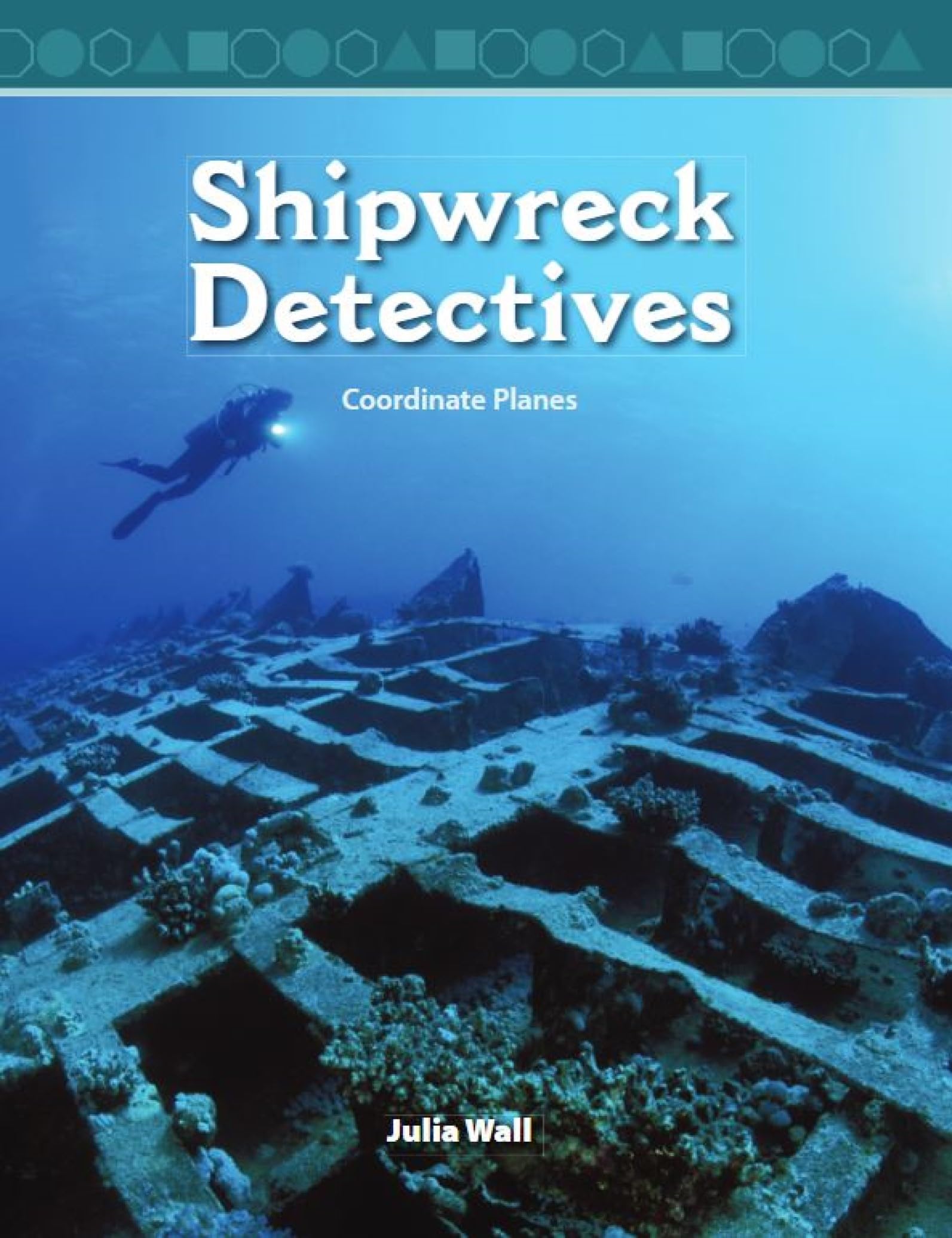 Shipwreck Detectives (Mathematics in the Real World)