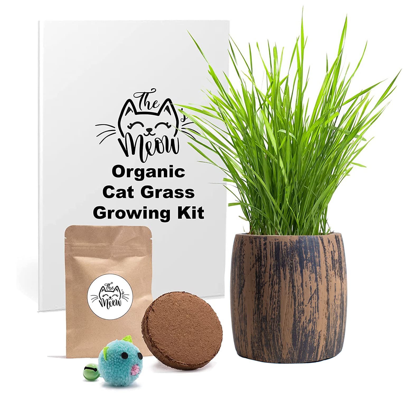 Cat Grass for Indoor Cats Kit by CALI KIWI PROS