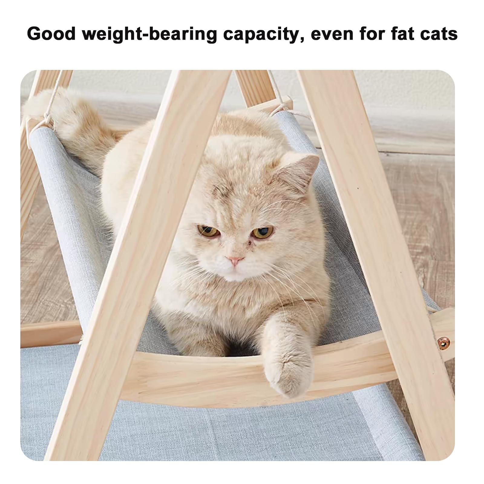 Hamac d'intérieur en bois pour chat, perchoir de couchage sans oscillation avec coussin, parfait pour les chatons pour se détendre et jouer