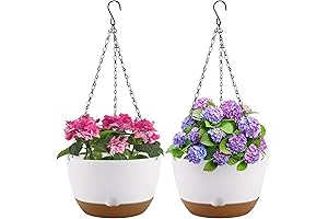 Self-Watering Hanging Planter: Verdant Oasis for Effortless Greenery