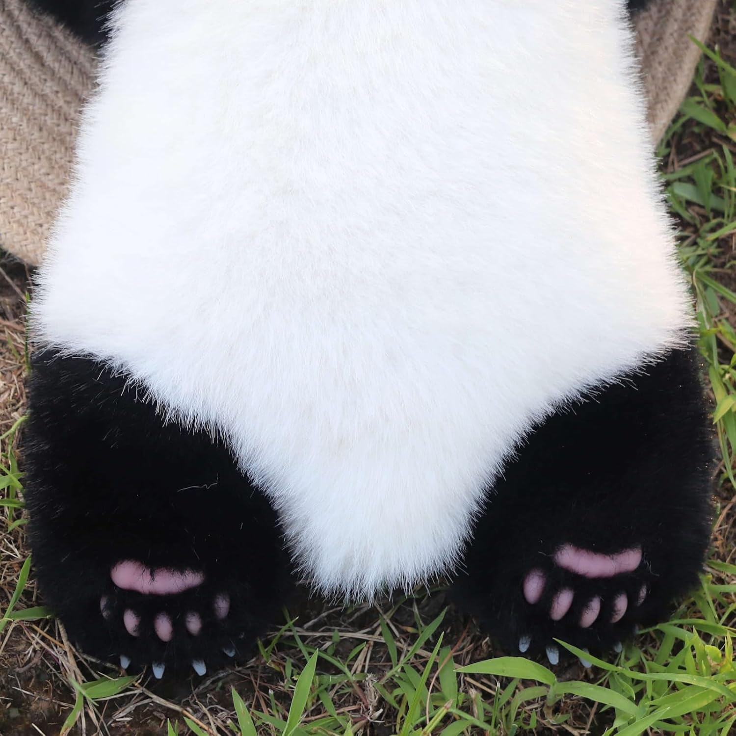 Cute Weighted Panda Stuffed Animal - Panda Plush Gifts Stuff, Hugging Weighted Stuffed Animals for Adults & Kids, 17 Inches 3 Lbs Plush Toys for Girls, Faux Fur (Menglan(3 Months Old))