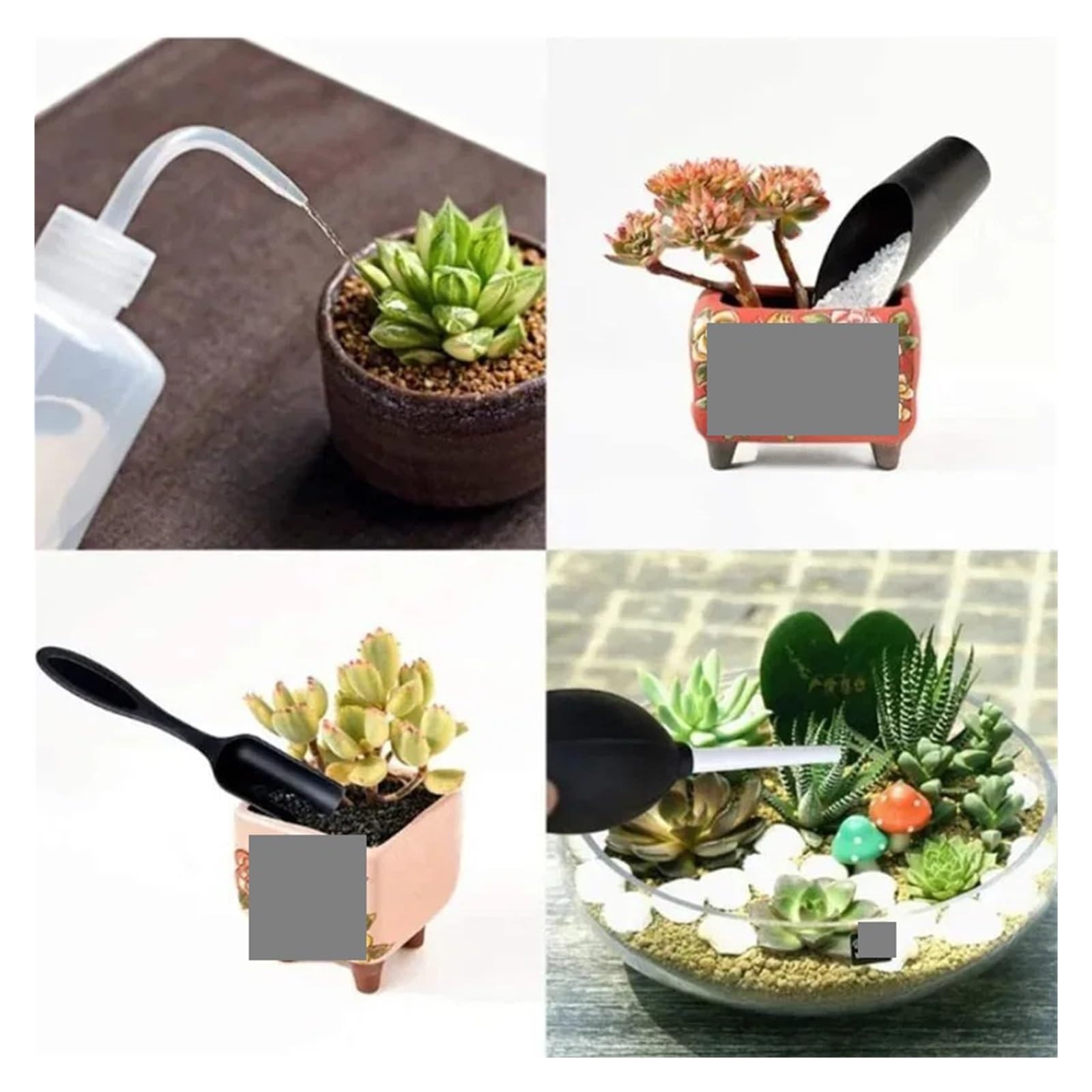 Lot de 16 mini outils d'entretien des plantes – Fournitures de transplantation manuelle pour le jardinage, la plantation du sol et l'entretien des semis, accessoires de jardinage essentiels