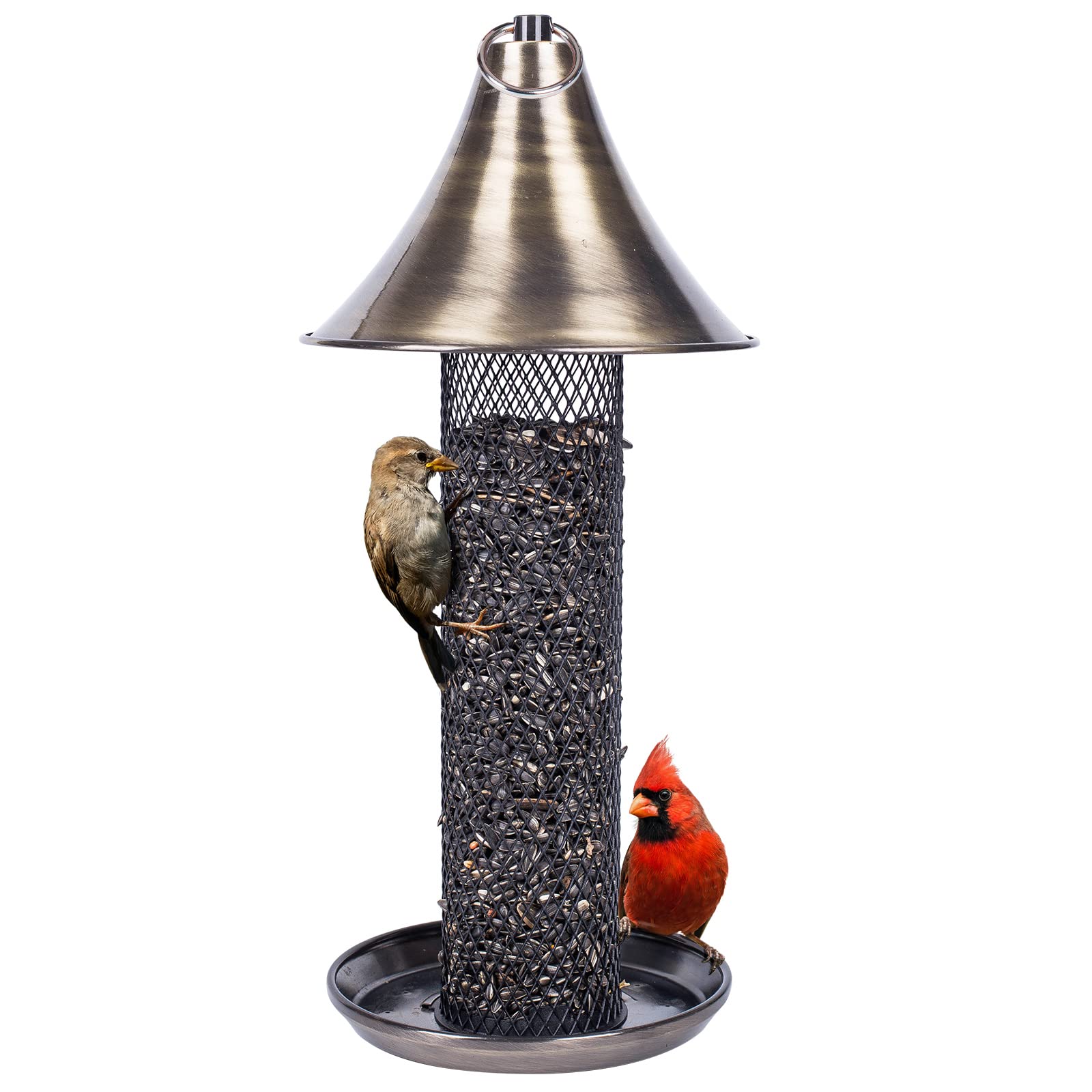 10 Best Sunflower Bird Feeders for Attracting Birds to Your Garden
