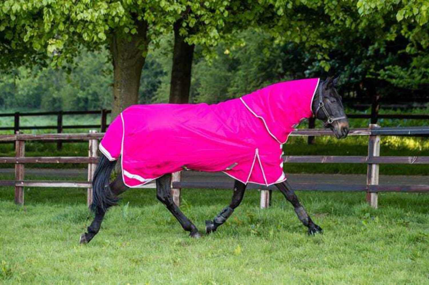 Swish Equestrian 100g Detachable Neck Turnout Rug - Pink 1200denier