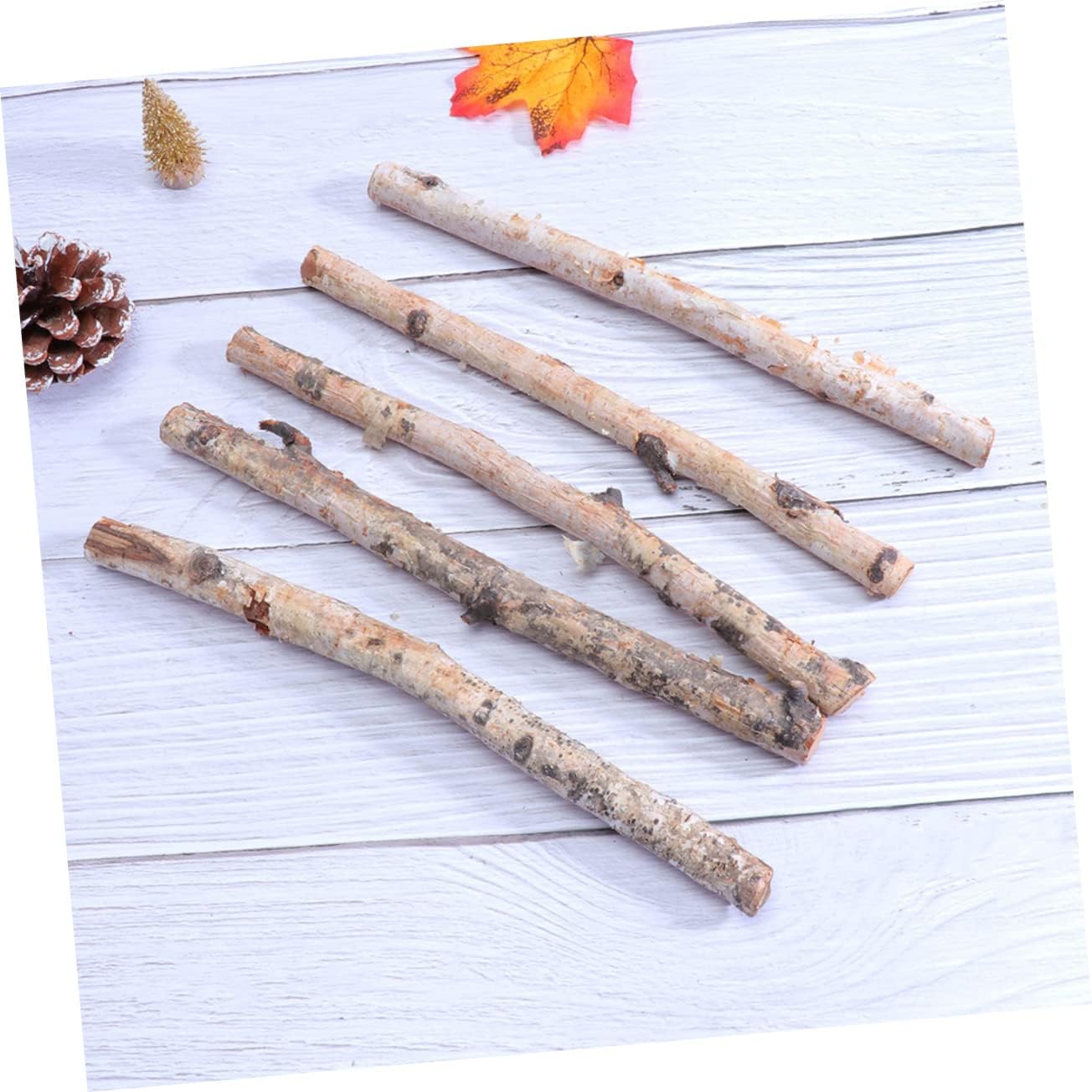 Artibetter 40pcs White Birch Poles Decorative Logs Dry Tree Branches for Indoor Outdoor Decor No Water Needed Vase Decorations